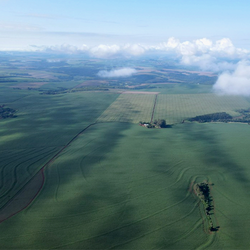 Fazenda São Pelegrino, em Ouro Verde do Oeste (PR), administrada por Vitor Belotto