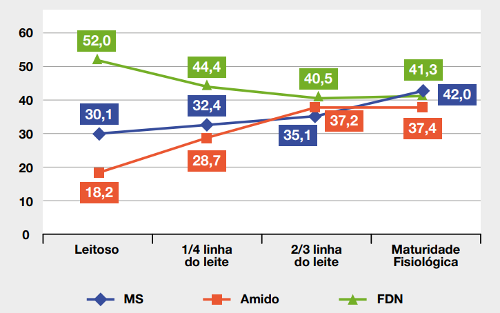 Gráfico mostrando Teor de MS, amido e teor de fibra (FDN) na silagem de milho em diferentes estágios de maturidade do grão.